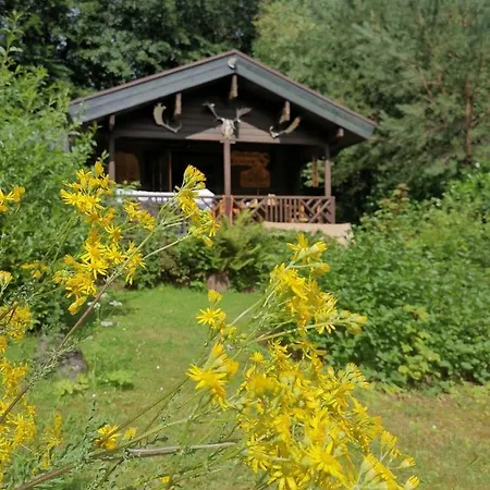 Blockhaus Am Twistesee Mit 3 Schlafzimmern Bad Arolsen